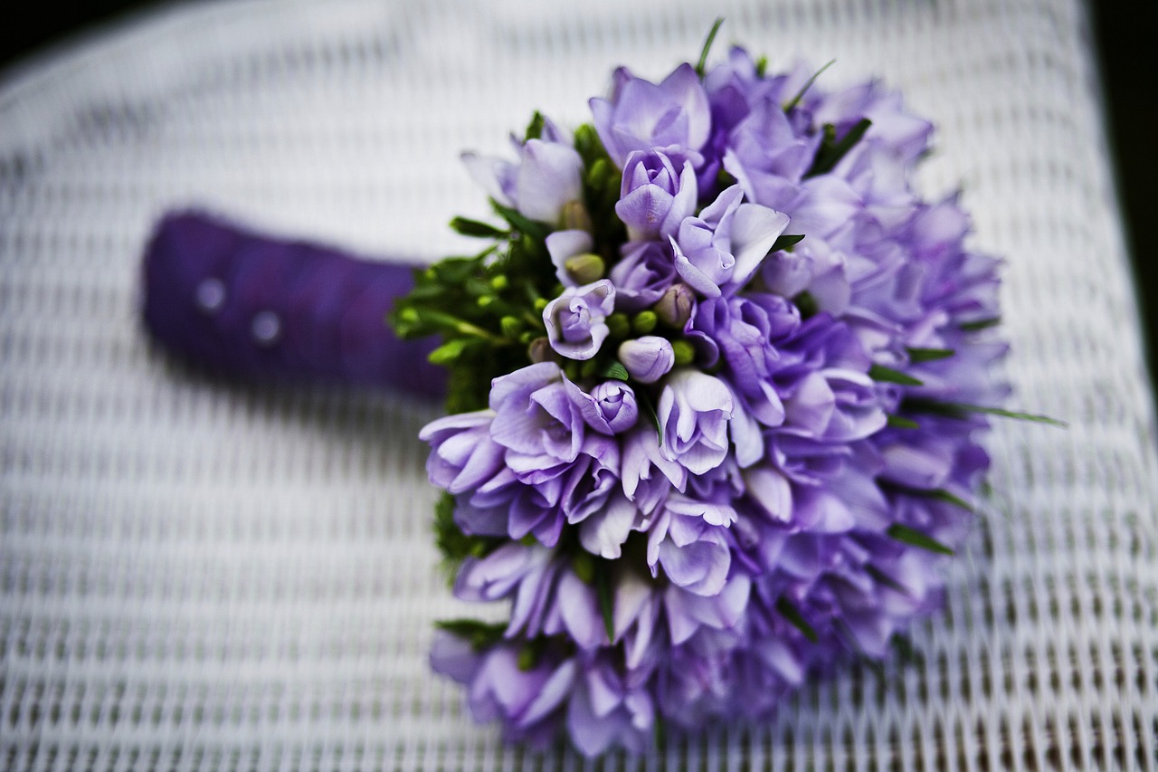 Blog